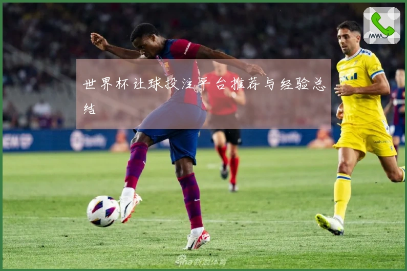 世界杯让球投注平台推荐与经验总结