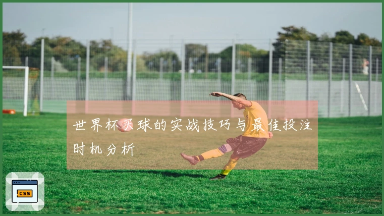 世界杯买球的实战技巧与最佳投注时机分析