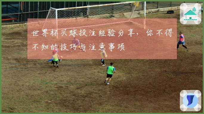 世界杯买球投注经验分享，你不得不知的技巧与注意事项