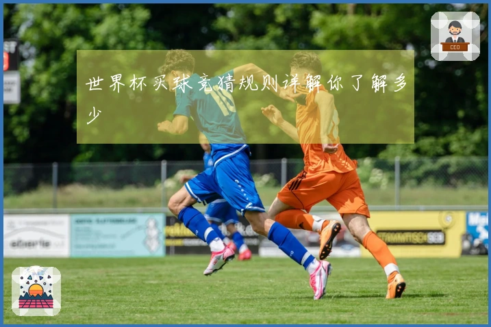 世界杯买球竞猜规则详解你了解多少