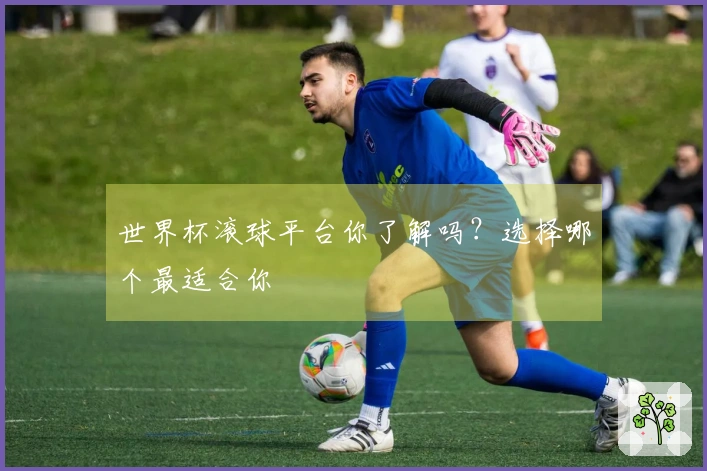 世界杯滚球平台你了解吗？选择哪个最适合你