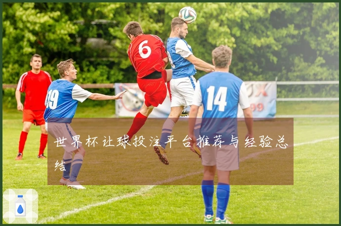 世界杯让球投注平台推荐与经验总结