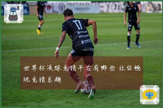 世界杯滚球竞猜平台有哪些 让你畅玩竞猜乐趣