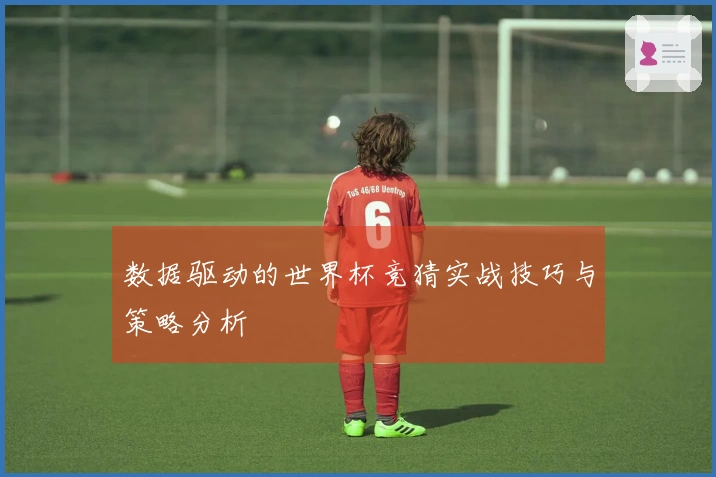 数据驱动的世界杯竞猜实战技巧与策略分析