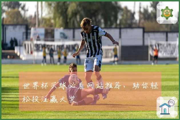 世界杯买球必看网站推荐，助你轻松投注赢大奖