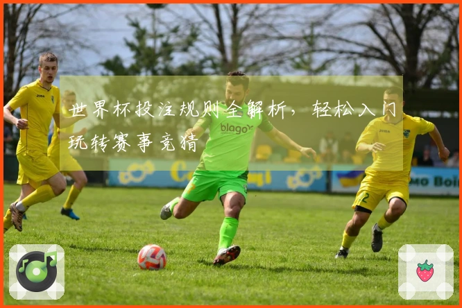 世界杯投注规则全解析，轻松入门玩转赛事竞猜