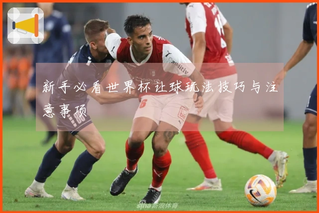 新手必看世界杯让球玩法技巧与注意事项