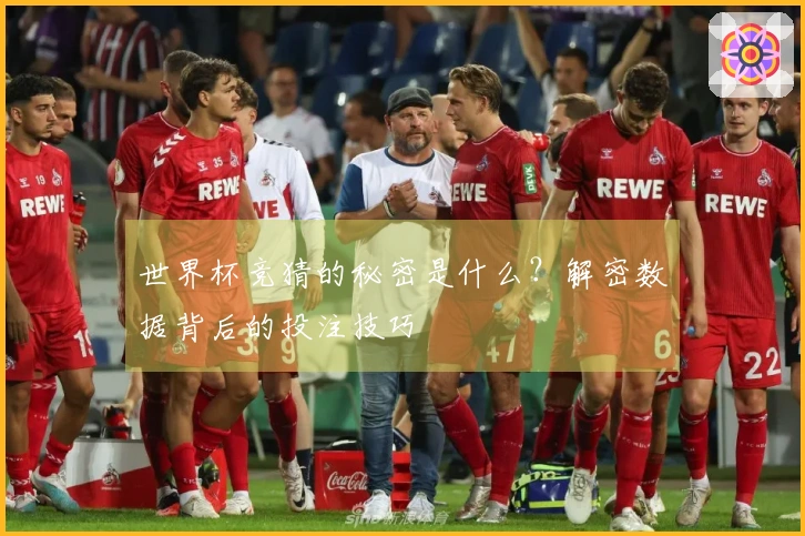 世界杯竞猜的秘密是什么？解密数据背后的投注技巧